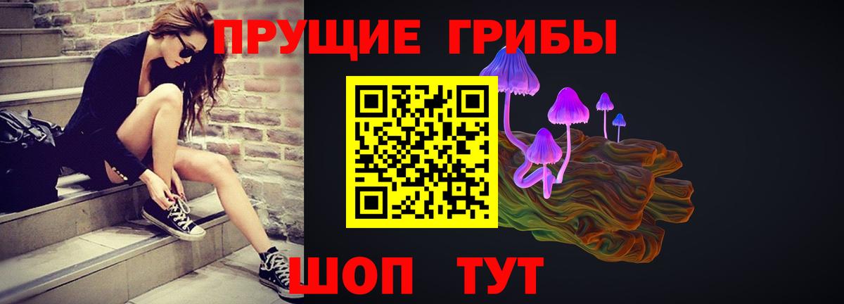 Нововоронеж  Галлюциногенные грибы GOLDEN TEACHER  Псилоцибиновые грибы GOLDEN TEACHER  цена   Вход с VPN 